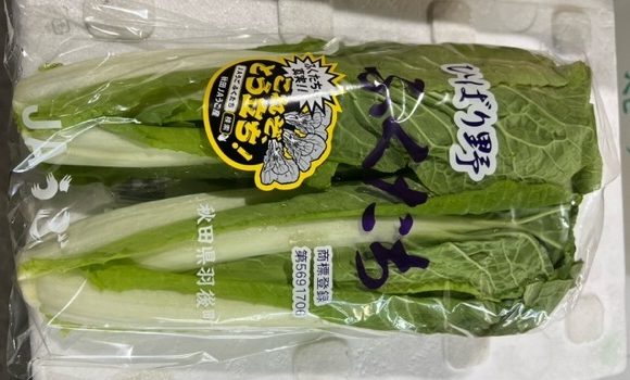 福立菜