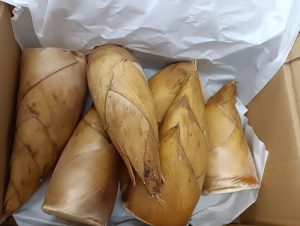 たけのこ　中国